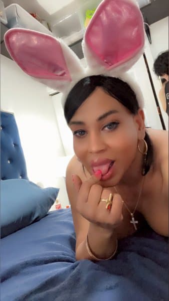 mulatica00