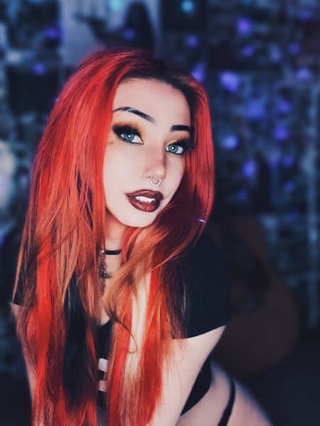 omgvelvet