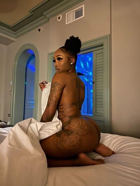 exoticdream01