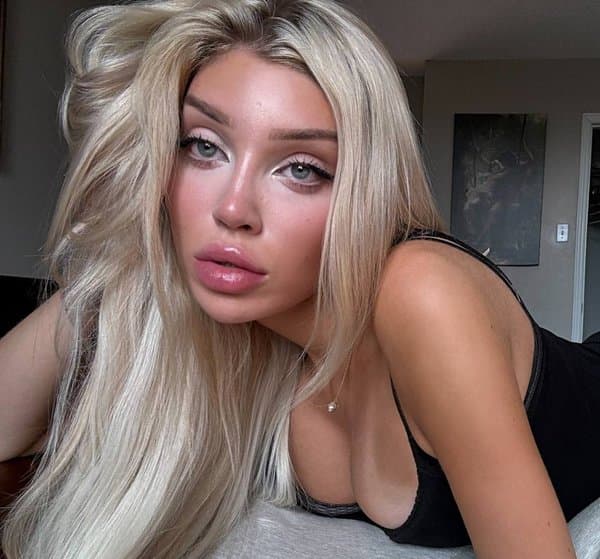 dreafoxx