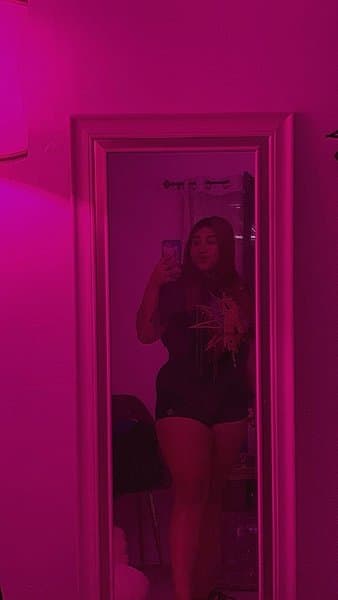 shellydinero