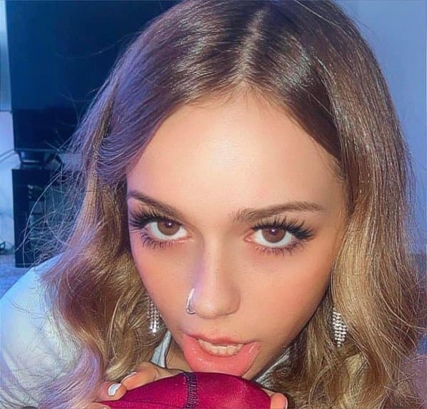 evenicole