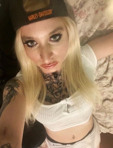 alexa_bunny