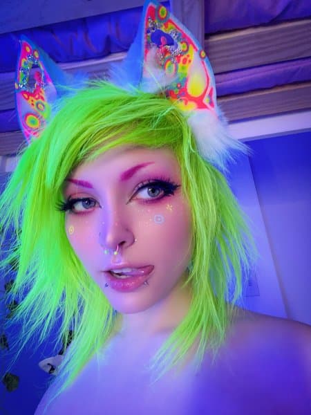 foxxo