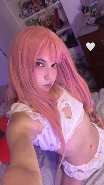 vlada_trans